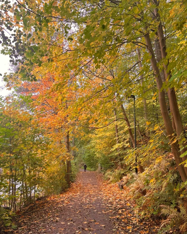 Hösten🍁
